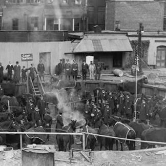 Corralled Police Horses in an Below Ground Pen prepare for strike & labor activity