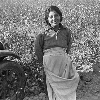 Cotton Picker by Dorothea Lange