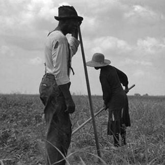 Cotton sharecroppers by Dorothea Lange