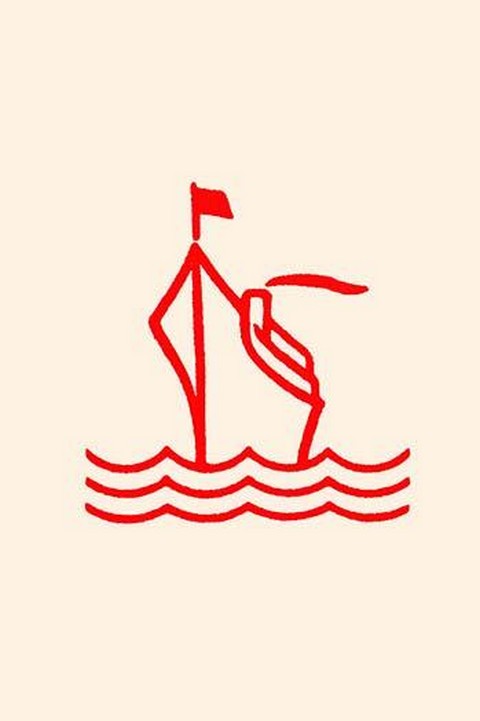 Cruise Ship by Chinese Government