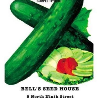 Cucumber: Burpee Hybrid