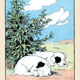 Curled Up Tight by Julia Dyar Hardy