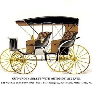 Cut-Under Surrey w/ Automobile Seats