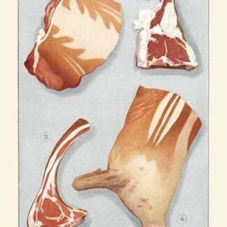 Cuts of Lamb