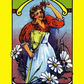 Daisy Maid Broom Label