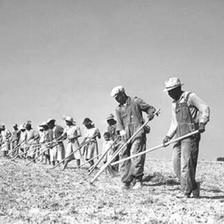 Dave Lewis and his 575 Acre Farm by C Harmon