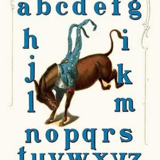 Democratic Party Alphabet