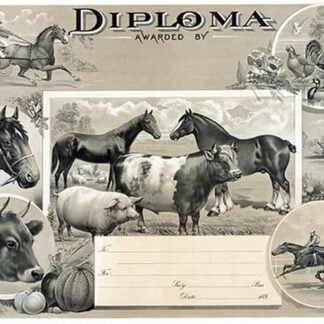 Diploma awarded by by Stecher Lith Co