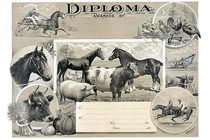 Diploma awarded by by Stecher Lith Co