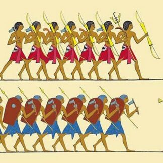 Disciplined Troops by John Gardner Wilkinson