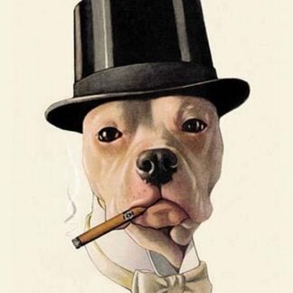 Dog in Top Hat and Bow Tie Smoking a Cigar by Will Rannells