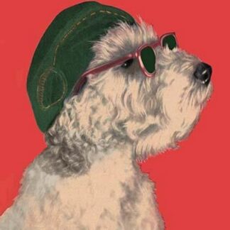 Dog with Glasses and Hat