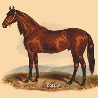 Dollar by L. Penicaut