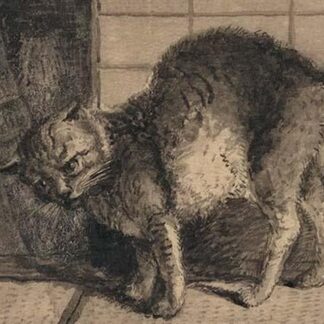 Domestic cat by Kano