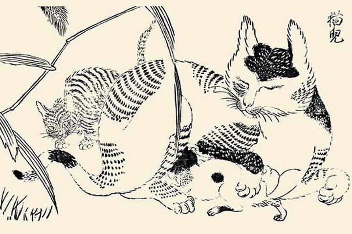 Domestic cat nursing kittens by Morikuni Tachibana