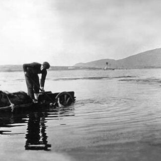Donkey Cart - Ireland