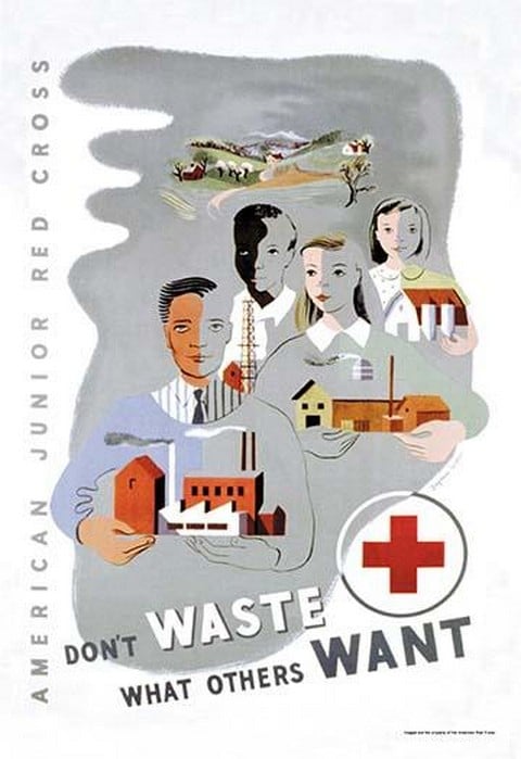 Don't Waste What Others Want: American Junior Red Cross by Dagmar Wilson
