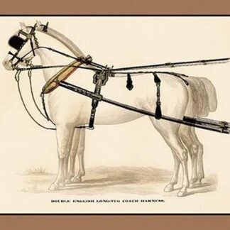 Double English Long-Tug Coach