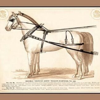 Double 'Honest John' Wagon Harness