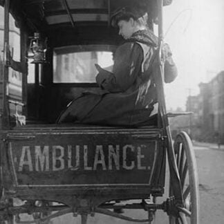 Dr. Elizabeth Bruyn sits in the rear of her Horse Drawn Ambulance