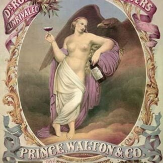 Dr. Roback's Stomach Bitters by Gibson