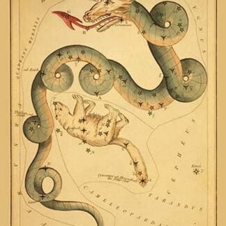 Draco and Ursa Minor by Jehosaphat Aspin