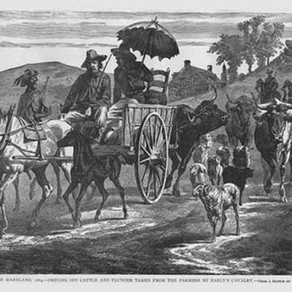 Driving off Plunder taken from Farmers by Early's Cavalry by Frank Leslie