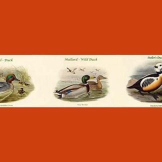 Duck Composite Horizontal Decorative Set II by John Gould
