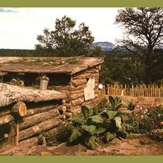 Dugout Home Graden of Jack Whinery in Pie Town by Russell Lee