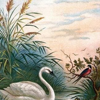 Each One to his Taste by Anton Hochstein