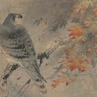 Eagle on a maple branch