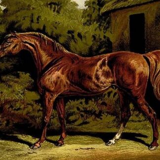 Eclipse by Samuel Sidney