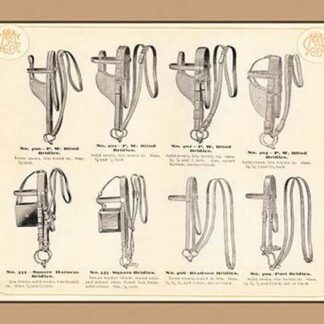 Eight Bridles