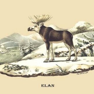 Elan by E. F. Noel