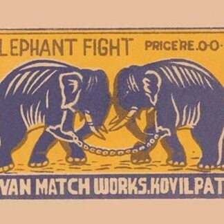 Elephant Fight
