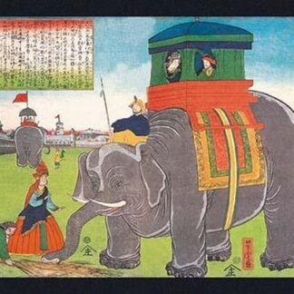 Elephant Taking a Lunch Break