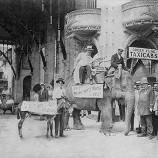 Elephant and Donkey in Luna Park by Underwood and Underwood