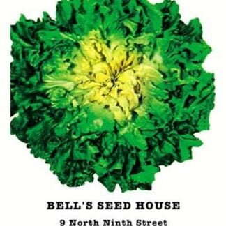 Endive: Broad Batavia Full-Heart