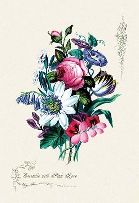 Ensemble with Pick Rose