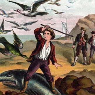 Ernest driving the birds away from a dead shark by Johann David Wyss