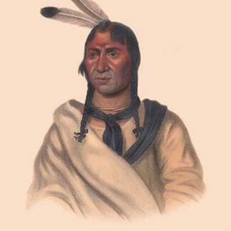 Esh-Ta-Hum-Leah (A Sioux Chief) by Mckenney & Hall