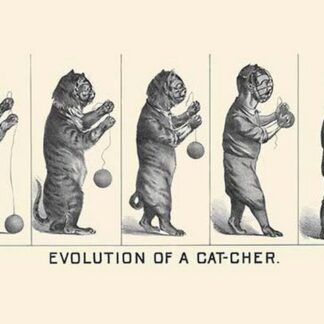 Evolution of a Cat-cher by H.S. Crocker & Co.