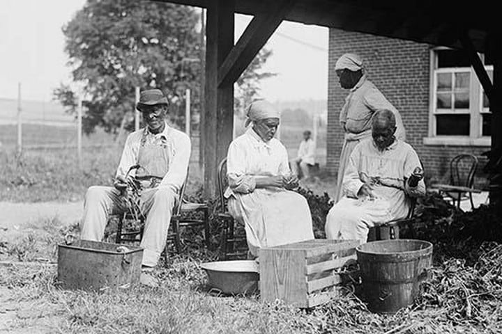 Ex-Slaves on Plantation