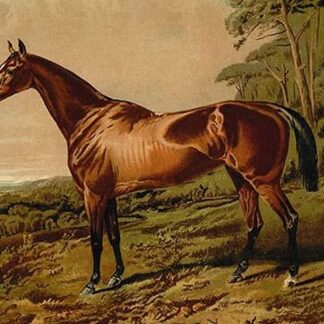 Fair Nell by Samuel Sidney