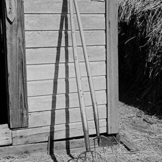 Farming Tools Still Life by Dorothea Lange