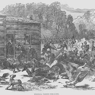 Federal Troops Foraging by Frank Leslie