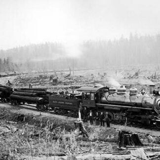 Feeding Frenzy by Darius Kinsey