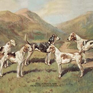 Fell Foxhounds by Thomas Ivester Lloyd