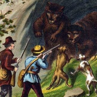 Fight with the Bears in the Cave by Johann David Wyss