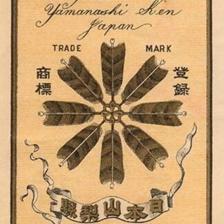 Filature Raw Silk by Yadima & Co.